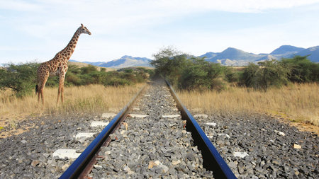 Safari Train Travel: Madaraka Express Journey to Finch Hattons